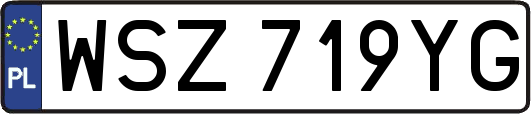WSZ719YG