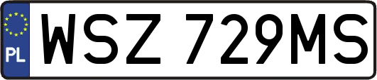 WSZ729MS