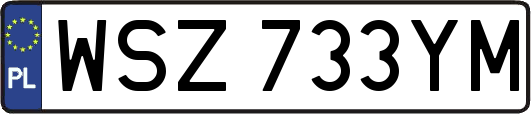 WSZ733YM