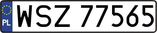 WSZ77565