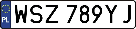 WSZ789YJ