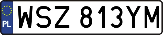 WSZ813YM