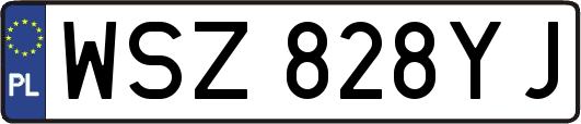 WSZ828YJ