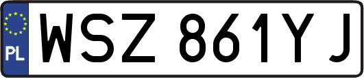 WSZ861YJ