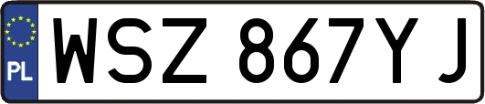 WSZ867YJ