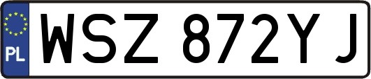 WSZ872YJ