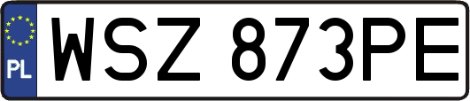 WSZ873PE