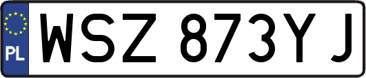 WSZ873YJ