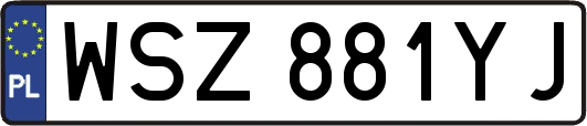 WSZ881YJ
