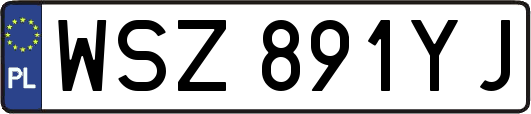 WSZ891YJ