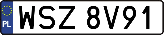 WSZ8V91