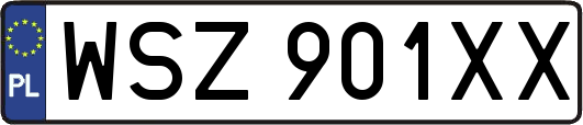 WSZ901XX