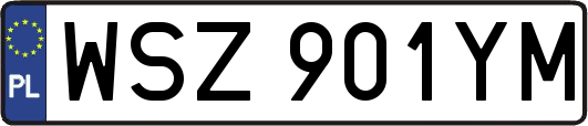 WSZ901YM