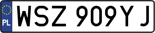 WSZ909YJ