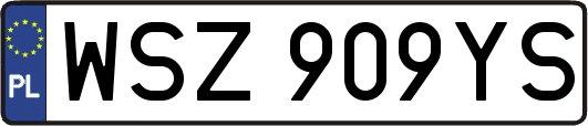WSZ909YS