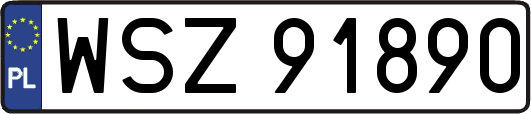 WSZ91890
