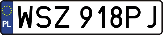 WSZ918PJ