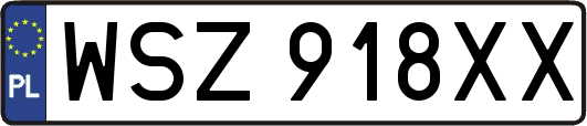 WSZ918XX