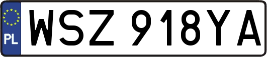 WSZ918YA