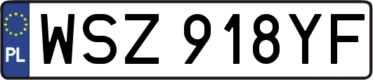 WSZ918YF