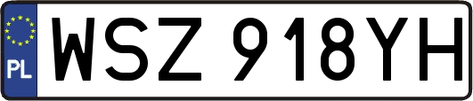 WSZ918YH