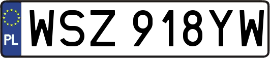 WSZ918YW