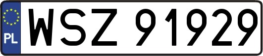 WSZ91929