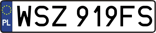 WSZ919FS