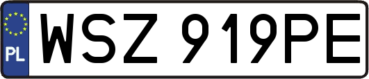 WSZ919PE