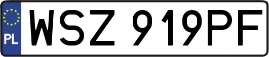 WSZ919PF