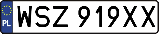 WSZ919XX