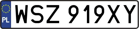 WSZ919XY