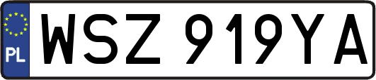 WSZ919YA