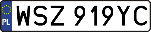 WSZ919YC