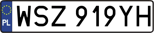 WSZ919YH