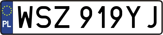 WSZ919YJ