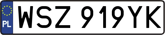 WSZ919YK