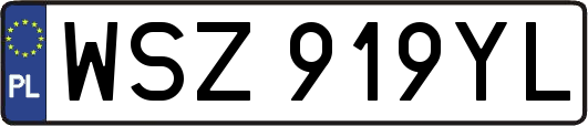 WSZ919YL