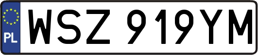 WSZ919YM