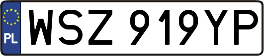 WSZ919YP