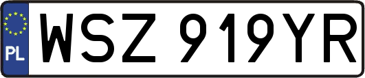 WSZ919YR