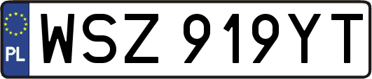 WSZ919YT