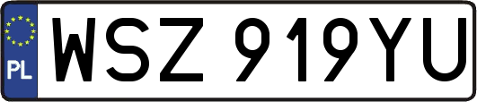 WSZ919YU