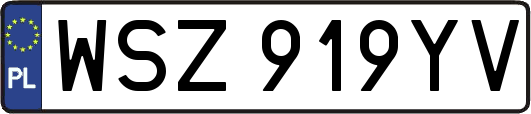 WSZ919YV