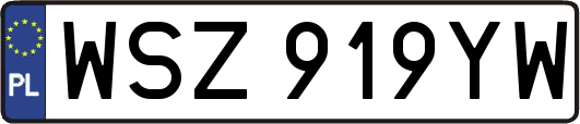 WSZ919YW