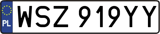 WSZ919YY