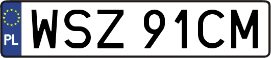 WSZ91CM