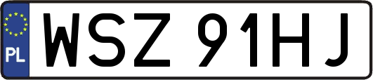 WSZ91HJ