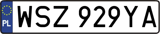 WSZ929YA