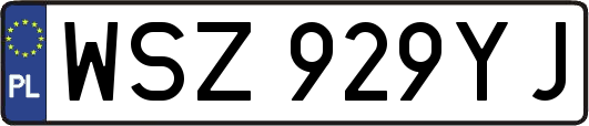 WSZ929YJ